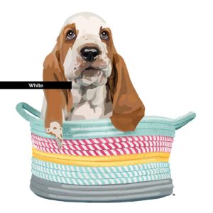 Basset Puppy in a Basket
