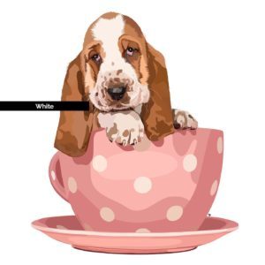 Basset Puppy Illustration